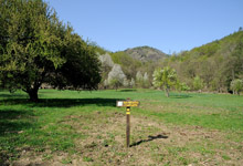 immagine 10 di 17